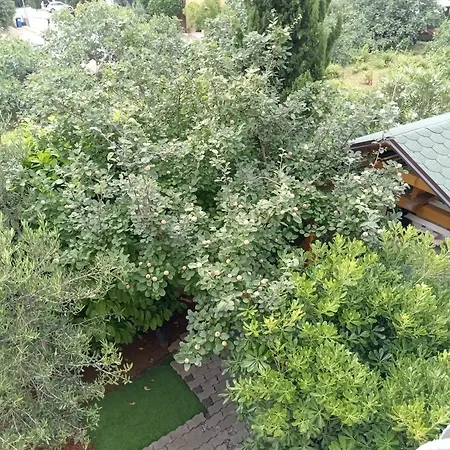 בית הארחה Ana 4*