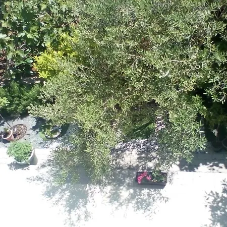 Ana بيت ضيافة كرك