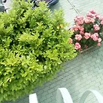 Ana 4*
