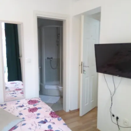 Guest house Ana 4*