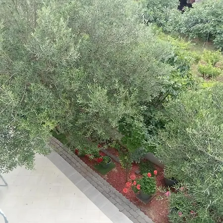 Ana Gostinjska kuća