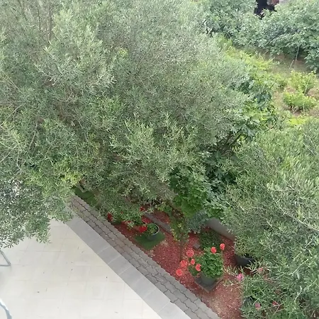 Ana Guest house