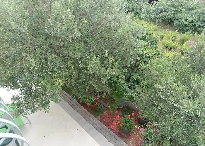 Ana Gostinjska kuća